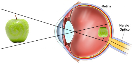 ojo humano