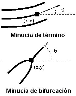 Minucias